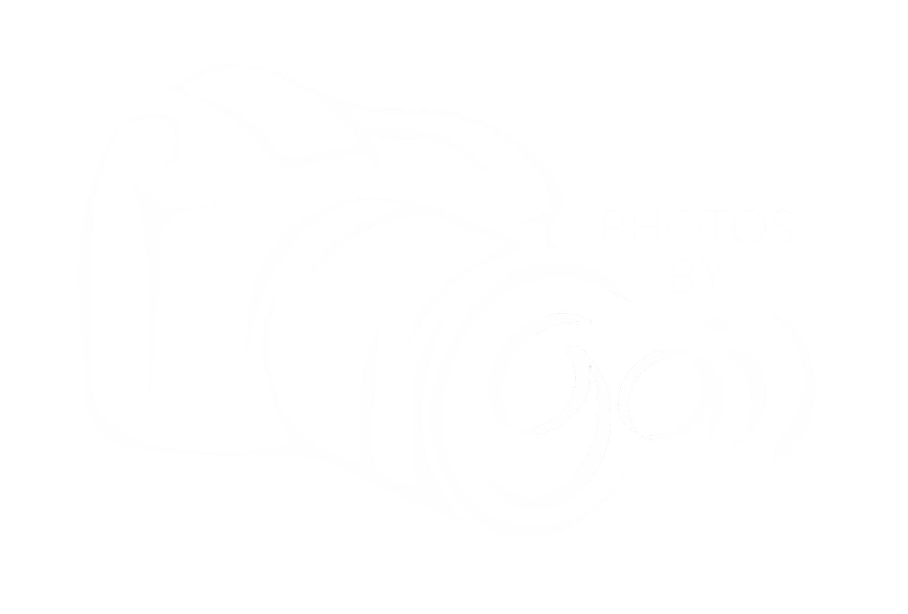 Photos by Gail Logo